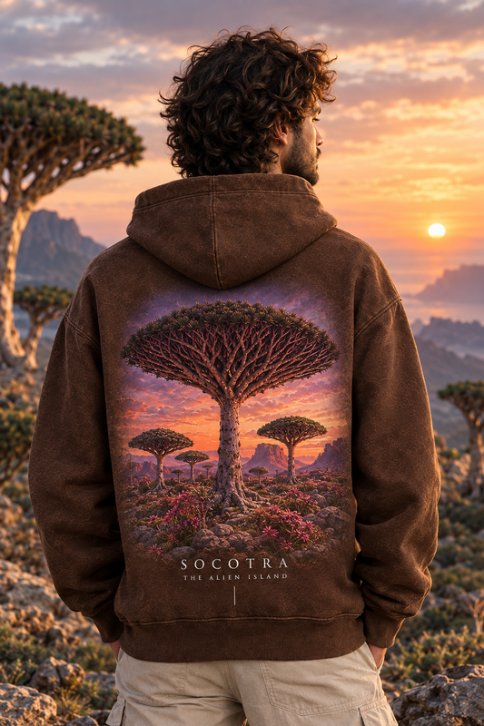 SOCOTRA-Unisex Coffee Brown Hoodie-350 GSM